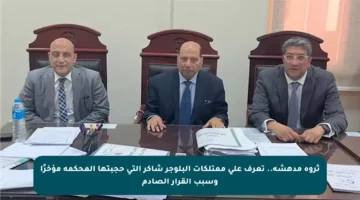 ثروة مدهشة.. تعرف على ممتلكات البلوجر شاكر التي حجبتها المحكمة مؤخرًا وسبب القرار الصادم